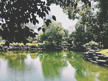 Scenic view of lake by trees against sky