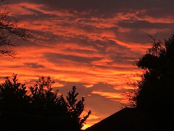 Silhouette trees against dramatic sky during sunset