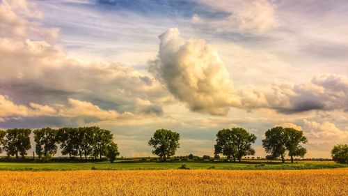 Scenic view of field against sky during sunset