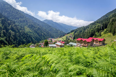 Scenic view of field and houses against sky