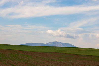 Scenic view of field against sky