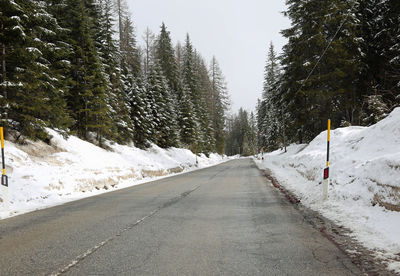 Road amidst snow covered trees