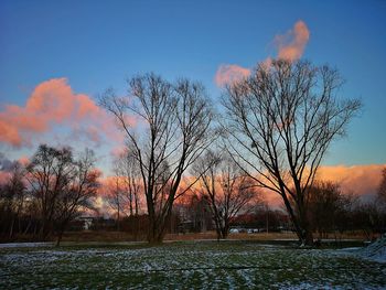 Bare trees on field against sky during sunset