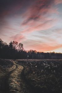 Scenic view of field against sky during sunset