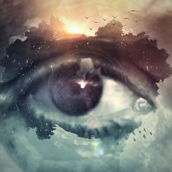 View of tree against sky