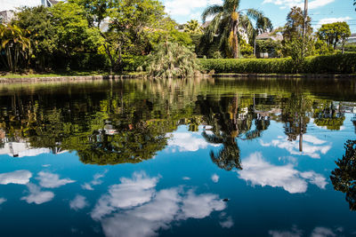 Reflection of trees in lake against sky