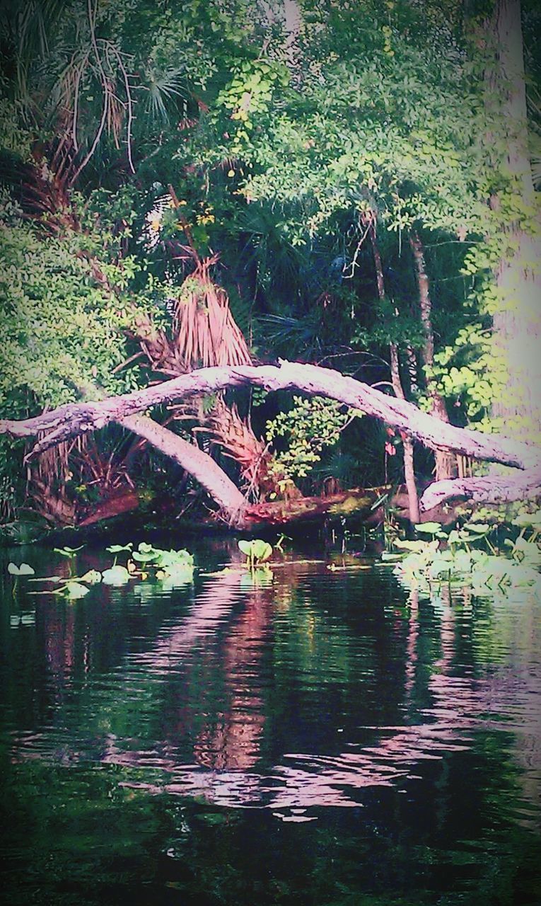 BUILT STRUCTURE IN LAKE WITH TREES IN BACKGROUND