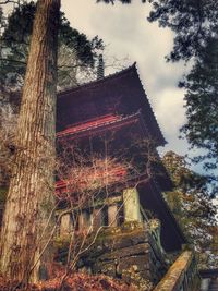 Low angle view of old building in forest against sky