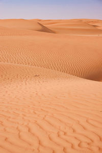 Sand dunes in rub al khali desert