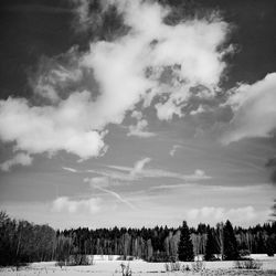 Panoramic shot of trees on field against sky