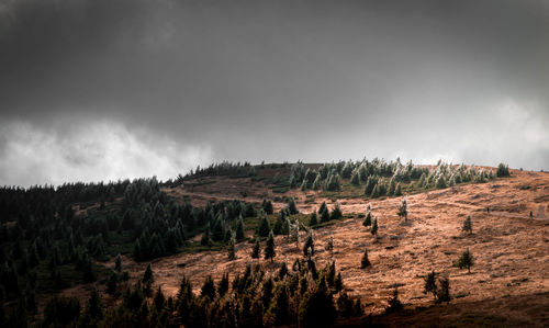 Panoramic view of landscape against sky