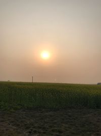 Scenic view of field against sky during sunset