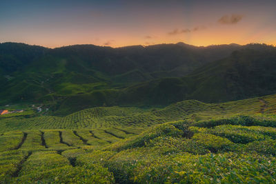 Scenic view of field against sky during sunset