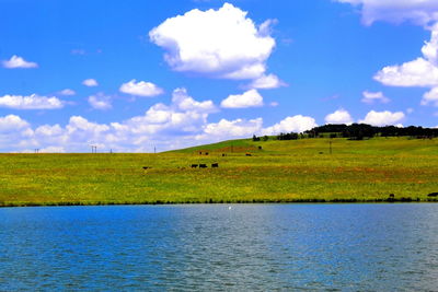 Scenic view of grassy field against sky