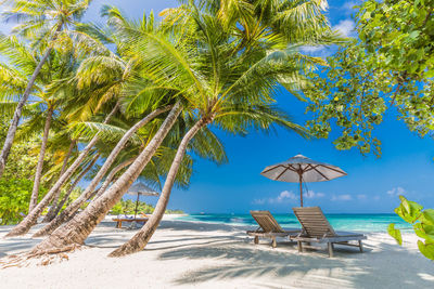 Couple destinations summer vacation romantic chairs with umbrella under palm trees. luxury travel