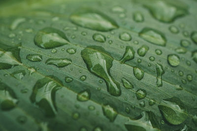 Full frame shot of wet glass