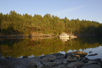 Scenic view of lake by trees against sky