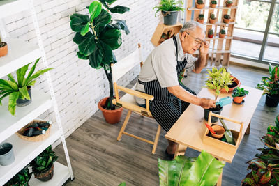 High angle view senior man sitting at greenhouse