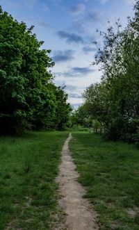 Trail on grassy field amidst trees