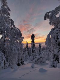 Scenic view of snow covered land against sky during sunset