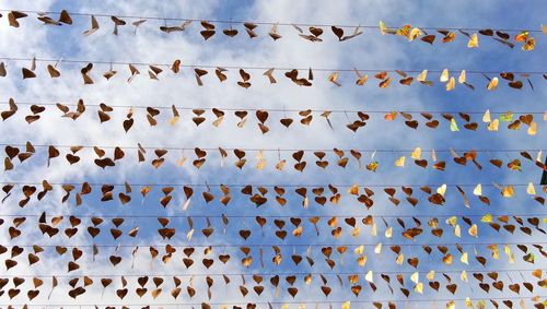 Full frame shot of patterned hanging