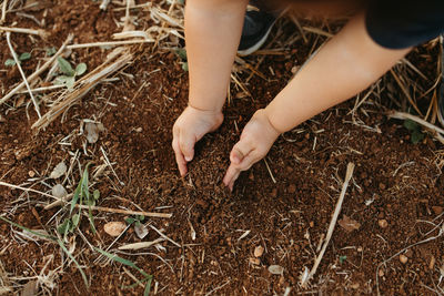 Low section of woman standing on hay