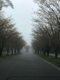 Empty road amidst trees against sky