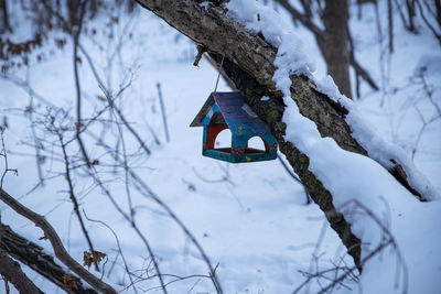 Close-up of birdhouse hanging on snow covered land