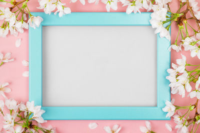 Directly above shot of pink flowering plants on table