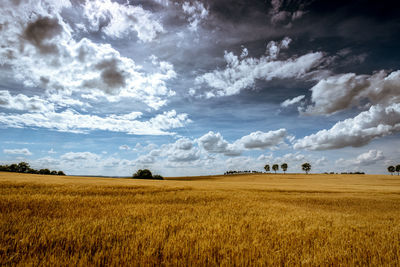 Idyllic shot of landscape against cloudy sky