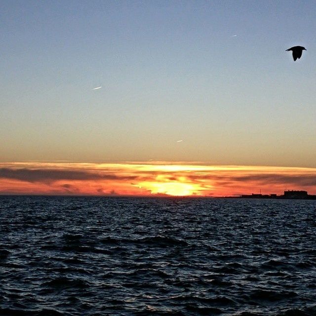 sea, water, sunset, horizon over water, scenics, tranquil scene, waterfront, beauty in nature, tranquility, rippled, nature, idyllic, orange color, sky, sun, clear sky, copy space, bird, silhouette, seascape