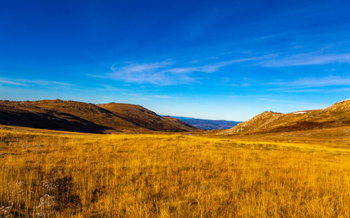 Scenic view of field against blue sky