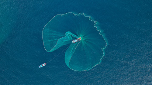 High angle view of umbrella