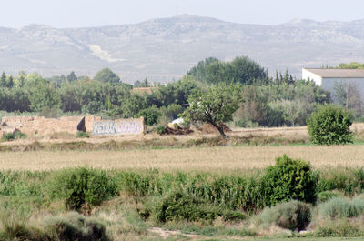 Scenic view of field and mountains against sky