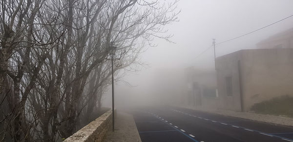 Road amidst trees against sky in city