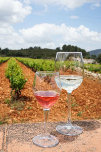 Close-up of wine glasses on table