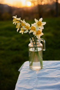 Close-up of flowers in glass on table