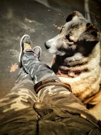 Low section of man standing with dog