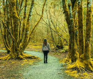 Rear view of woman standing amidst trees in forest