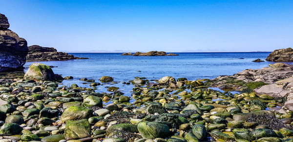 Scenic view of sea against clear blue sky