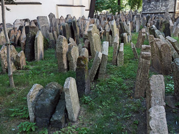 View of rocks on field