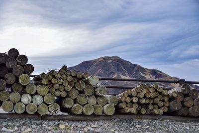 Stack of logs in forest against sky
