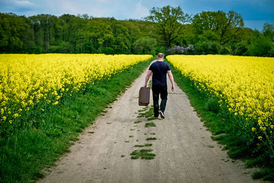 Scenic view of agricultural field