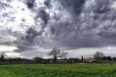 Trees on field against storm clouds