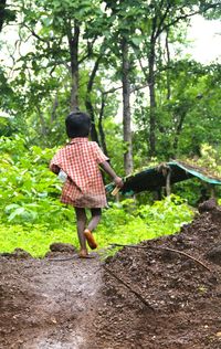 Rear view of woman standing in forest