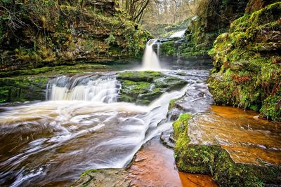 Scenic view of waterfall in forest