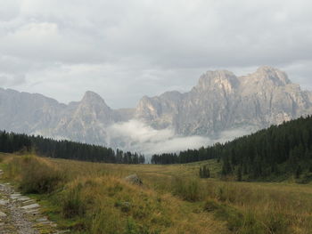 Scenic view of landscape against sky