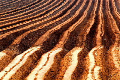 Full frame shot of agricultural field