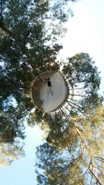 Low angle view of bird on tree against sky