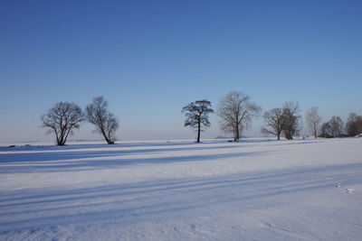 Trees on snow covered field against clear blue sky